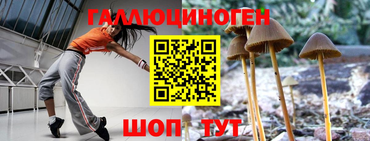 Галлюциногенные грибы MAGIC MUSHROOMS  что такое наркотик  Заволжье  Псилоцибиновые грибы MAGIC MUSHROOMS  Вход с VPN 